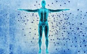 Leia mais sobre o artigo 3 Pilares